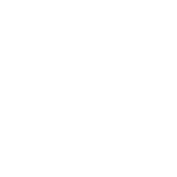 Viindex Logo