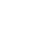Viindex Logo